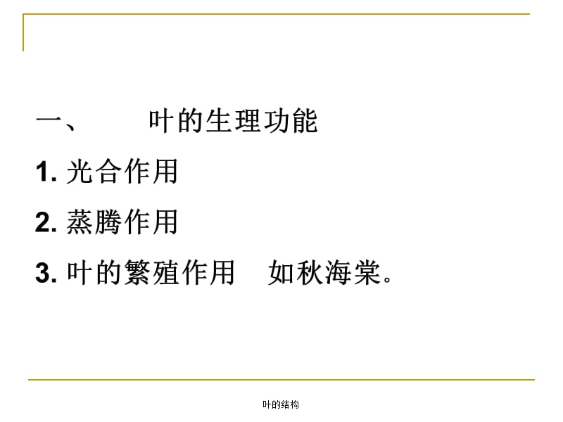 叶的结构优秀课件.ppt_第3页