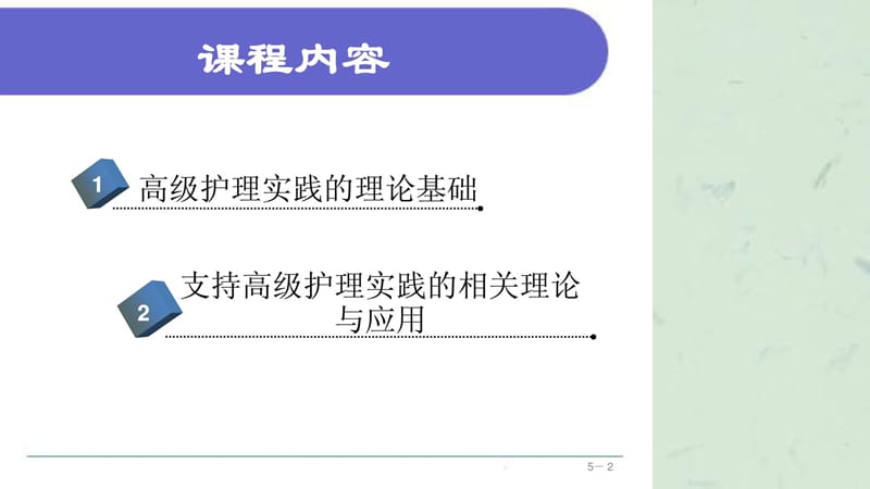 高级护理实践课件.ppt_第2页