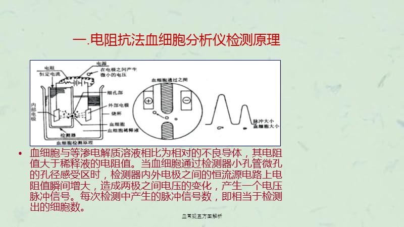 血常规直方图解析课件.ppt_第2页