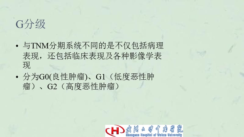 骨骼恶性肿瘤课件.ppt_第3页