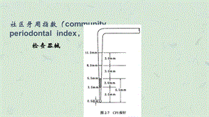 龋病的预防课件.ppt