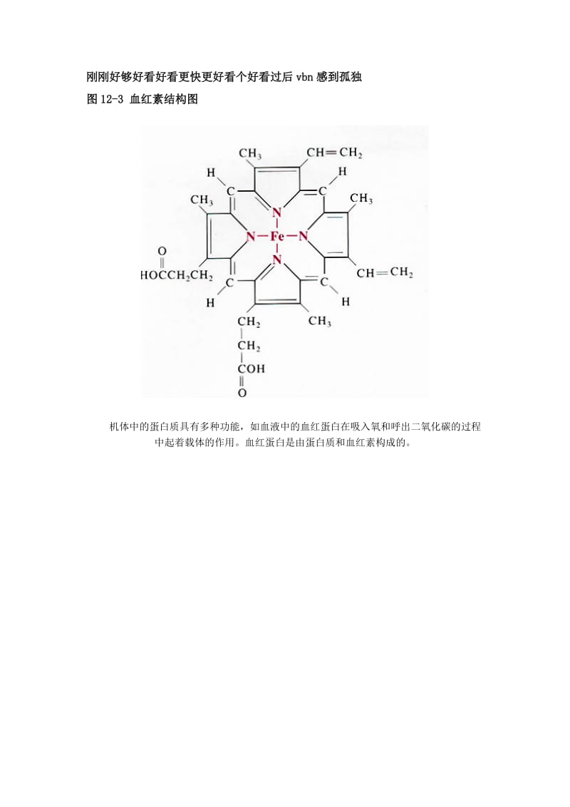 血红素结构图.doc_第1页