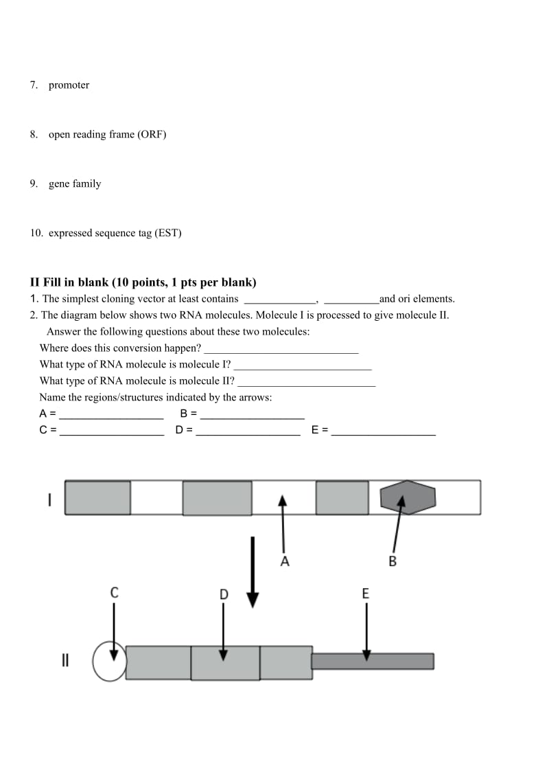 分子生物学试卷(英文).doc_第2页