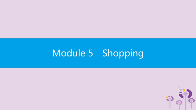 2019春七年级英语下册 Module 5 Shopping模块语法专练课件 （新版）外研版.pptx_第1页