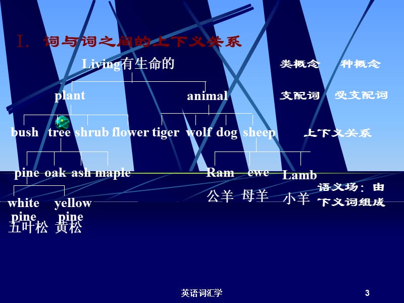 英语词汇学课件.ppt_第3页