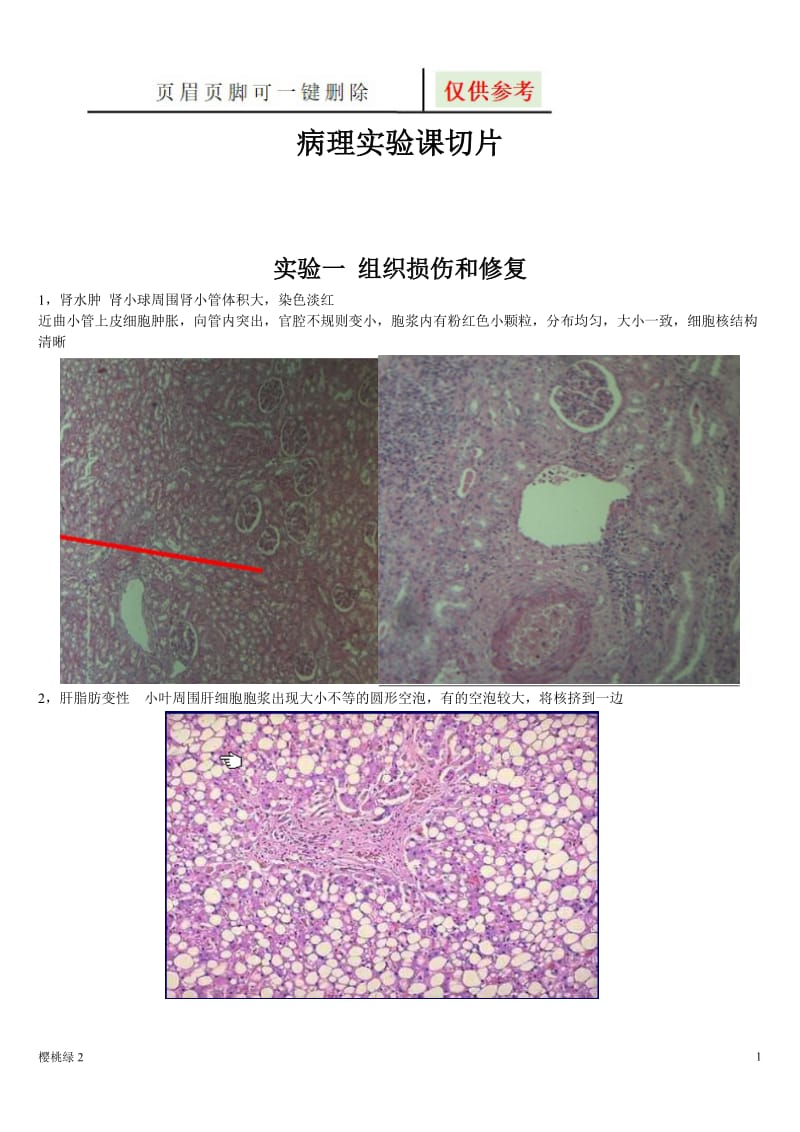 病理学切片和标本[相关知识].doc_第1页