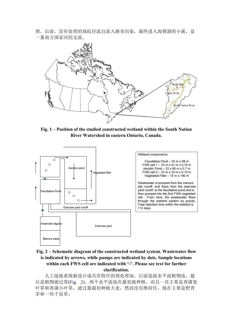 加拿大安大略省人工湿地对农业及奶牛场废水处理中植物.doc_第3页