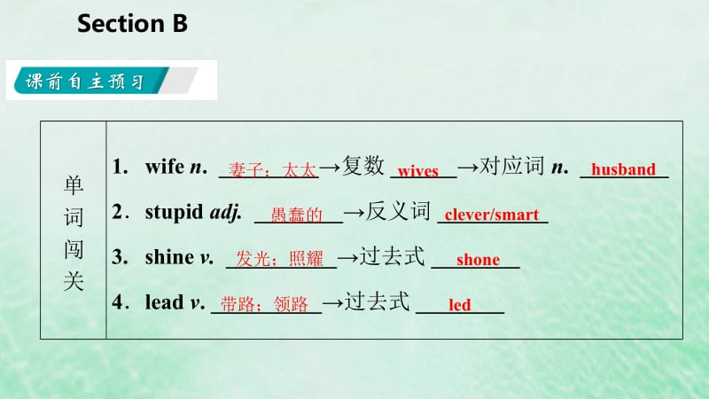 2019年春八年级英语下册 Unit 6 I&rsquo;m going to study computer science Section B课件 （新版）人教新目标版.pptx_第3页