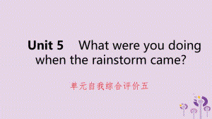 2019年春八年级英语下册 Unit 5 What were you doing when the rainstorm came自我综合评价五练习课件 （新版）人教新目标版.pptx