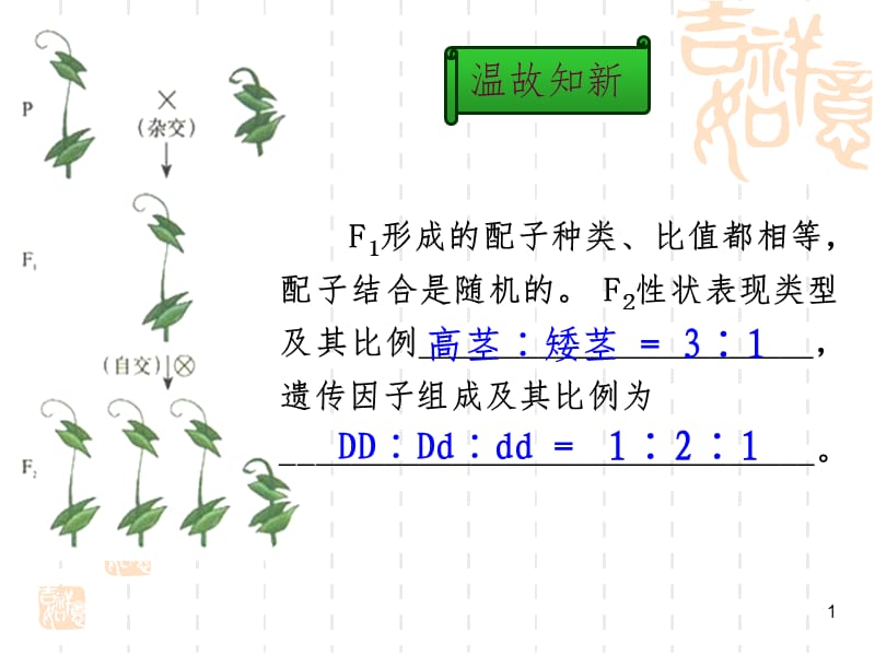 第二节-孟德尔的豌豆杂交实验(二)PPT课件.ppt_第1页