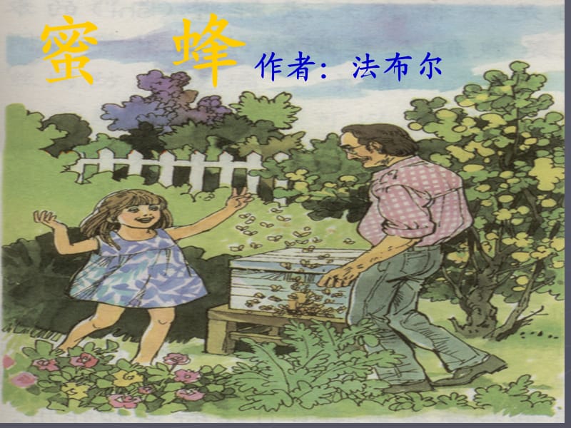 14《蜜蜂》课件1(1).ppt_第1页