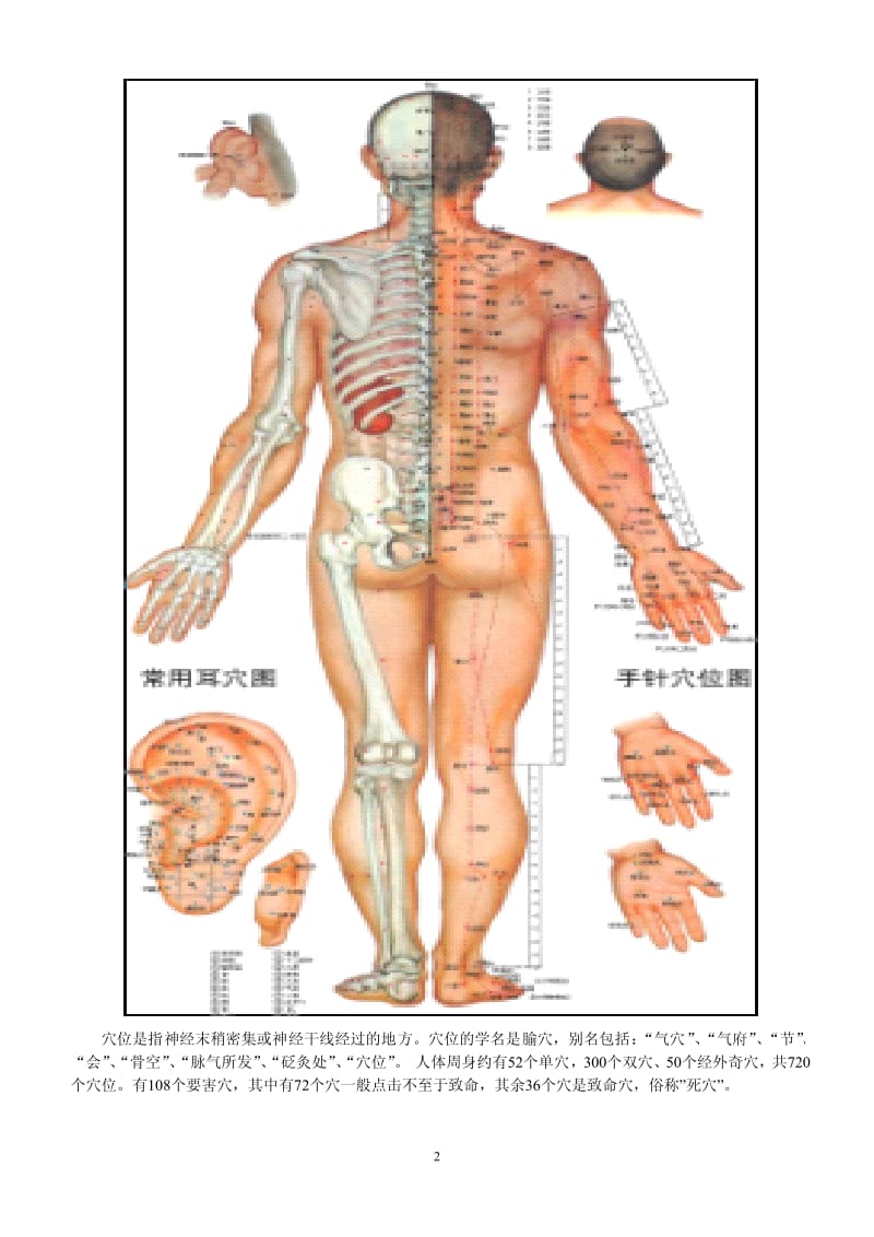 人体全身穴位图与科学讲解(） .pdf_第2页