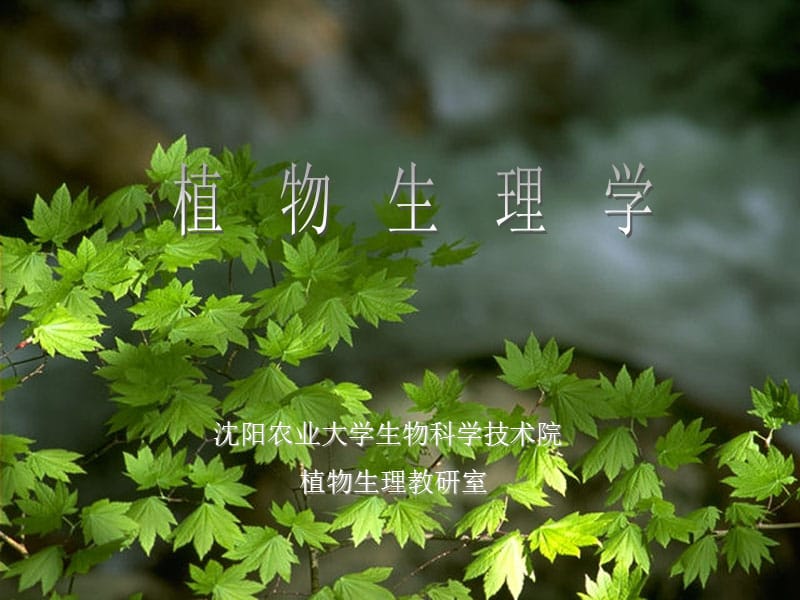 沈阳农业大学生物科学技术院植物生理教研室(课堂PPT).ppt_第1页