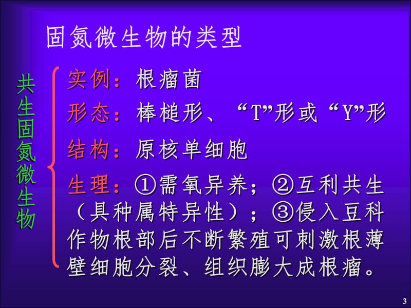 固氮的概念及类型PPT课件.ppt_第3页