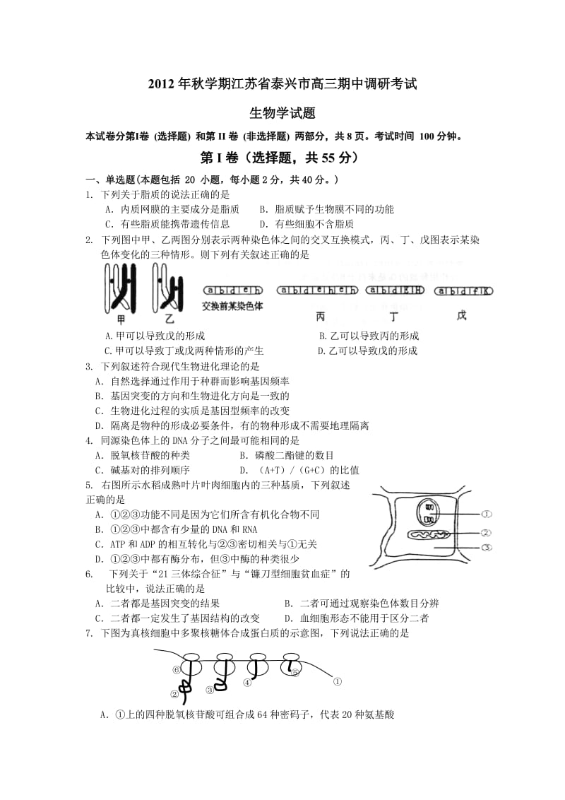 江苏省泰兴市高三上学期期中调研考试生物试题（ 高考） .doc_第1页