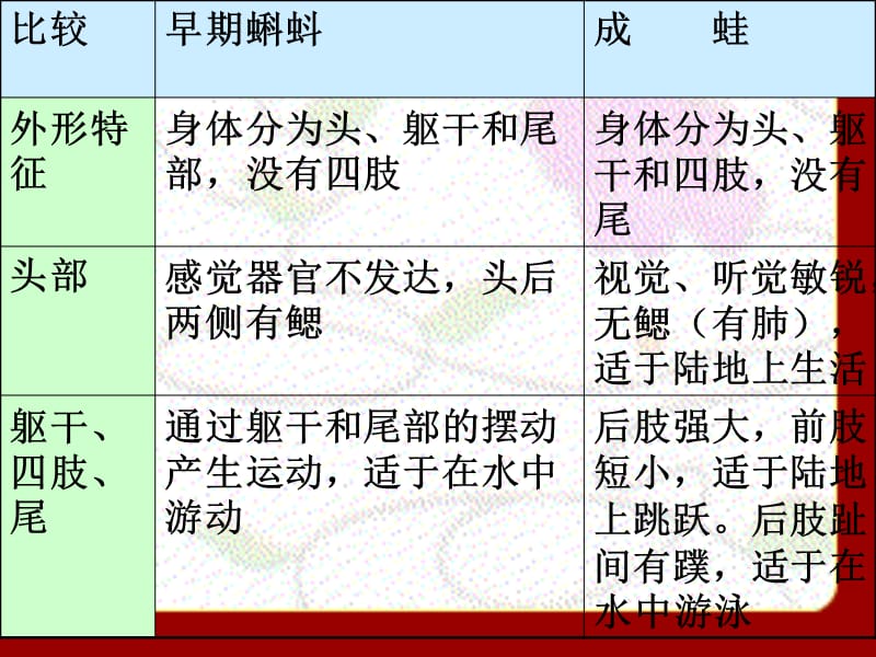 1115鸟的生殖和发育18695.ppt_第3页