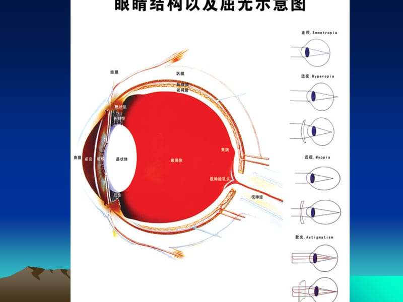 综合验光仪的使用(图解)课件.ppt_第3页