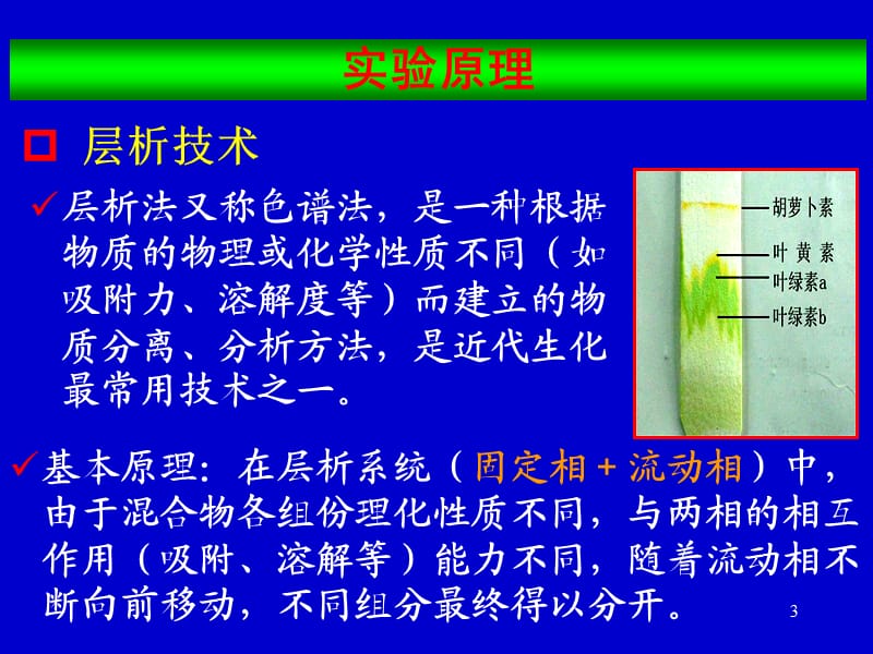 生物化学实验CQMU(课堂PPT).ppt_第3页