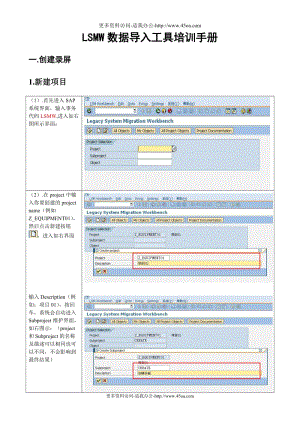 LSMW数据导入工具培训手册.doc