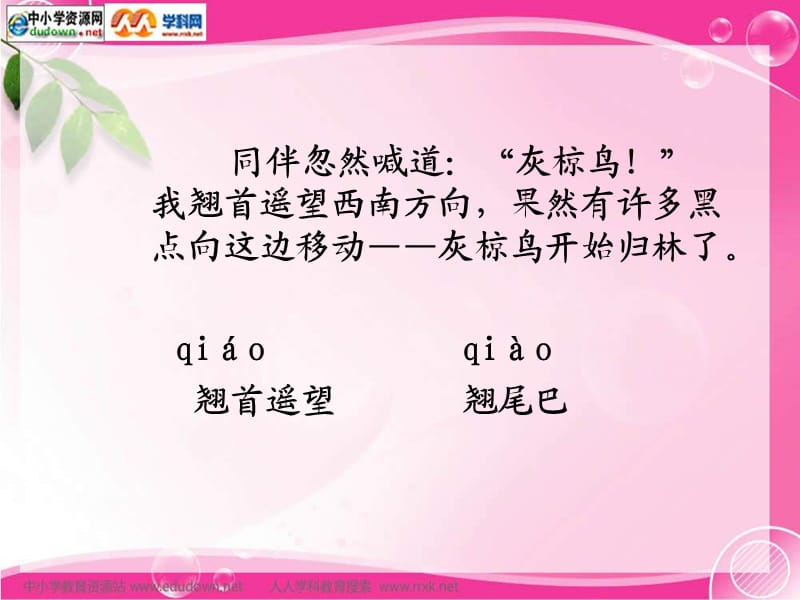 《灰椋鸟》1.ppt_第3页