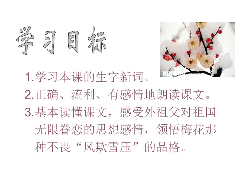 6《梅花魂》.ppt_第2页