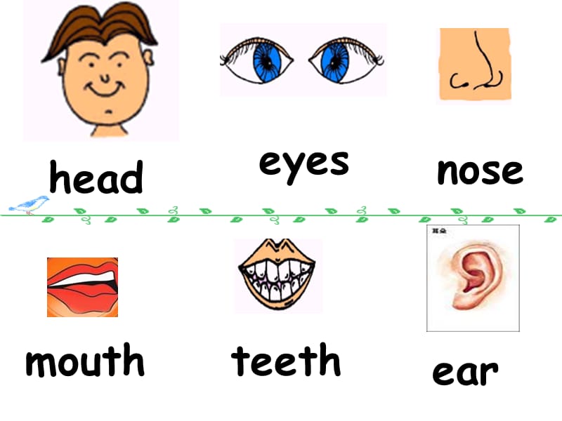 8AUnit2What'sthematter-sectionA.ppt_第2页