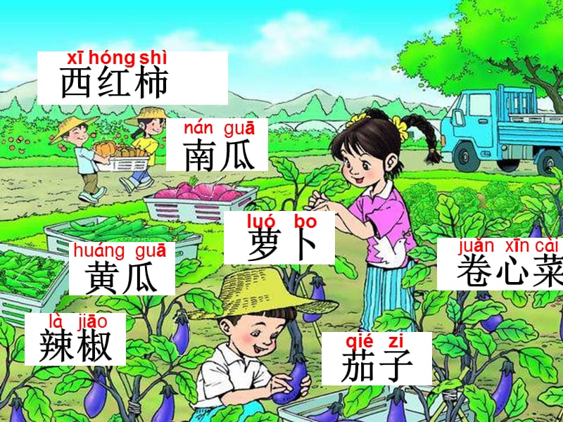 《菜园里》PPT课件3.ppt_第2页