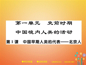 【最新】七年级历史上册 第一单元 史前时期：中国境内人类的活动 第1课 中国早期人类的代表-北京人习题课件 新人教版-新人教级上册历史课件.ppt