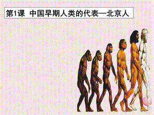 【最新】七年级历史上册 第一单元 史前时期：中国境内人类的活动第1课 中国境内早期人类的代表--北京人课件1 新人教版-新人教级上册历史课件.ppt