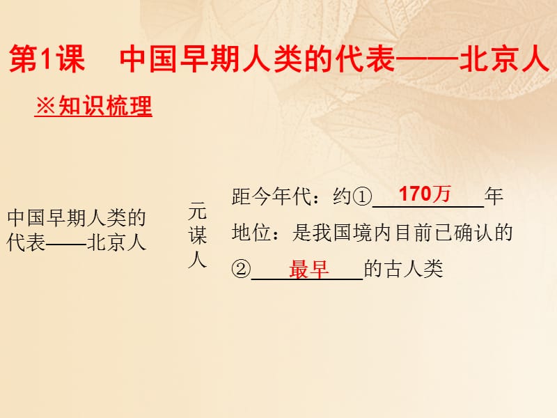 【最新】七年级历史上册 第一单元 史前时期：中国境内人类的活动 第1课 中国早期人类的代表-北京人同步教学课件 新人教版-新人教级上册历史课件.ppt_第2页