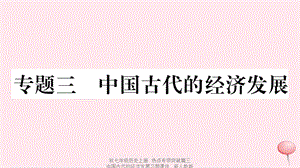 【最新】七年级历史上册 热点专项突破篇三 中国古代的经济发展习题课件 新人教版-新人教级上册历史课件.ppt