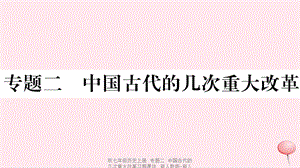 【最新】七年级历史上册 专题二 中国古代的几次重大改革习题课件 新人教版-新人教级上册历史课件.ppt