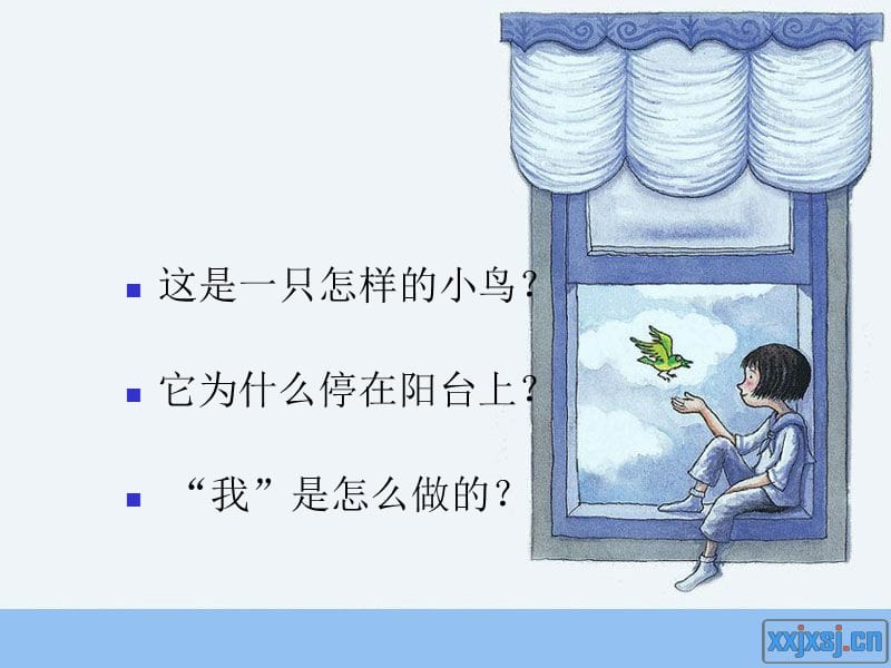 6、阳台上的小鸟.ppt_第3页