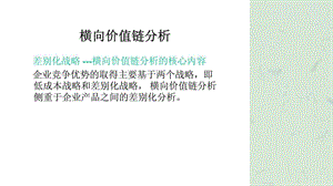 企业管理培训横向价值链分析.ppt