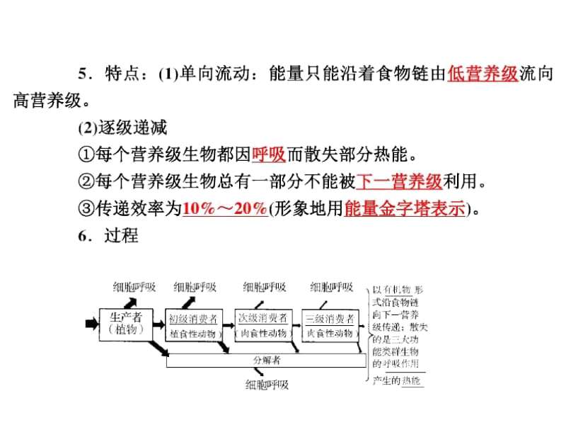 2019专题复习342生态系统的能量流动与物质循环.docx_第3页