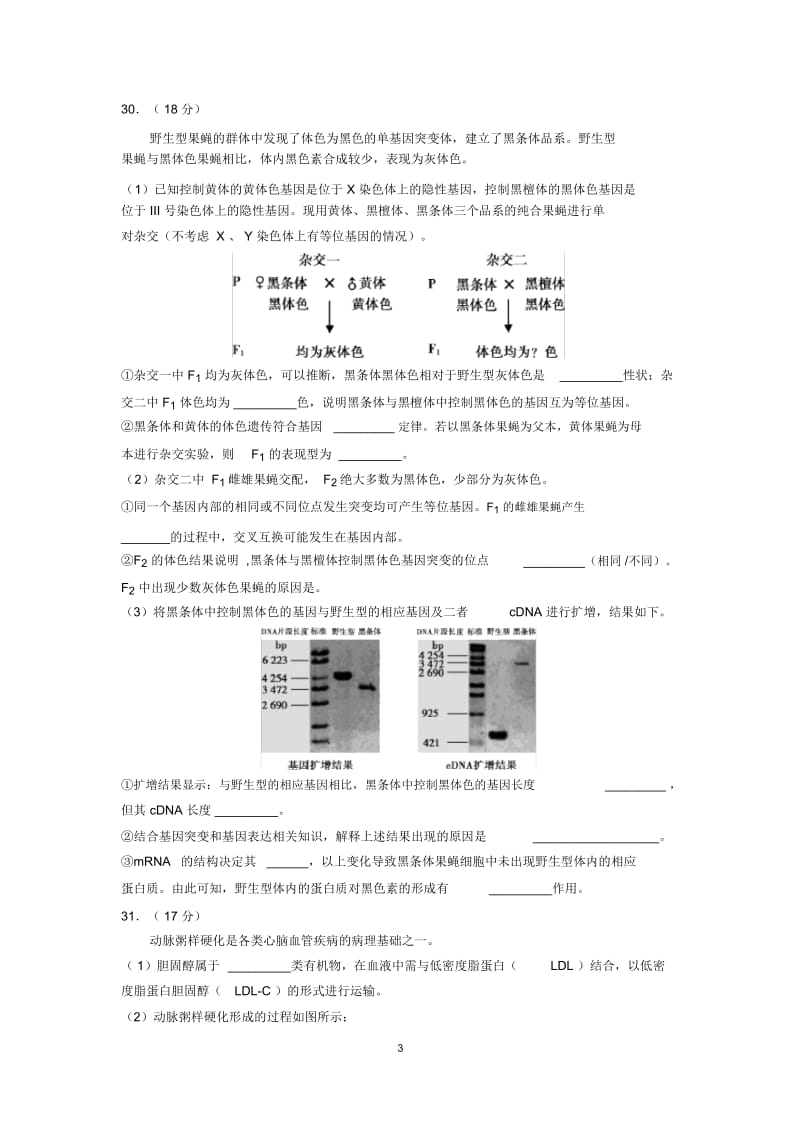 2017-2018朝阳区二模生物.docx_第3页