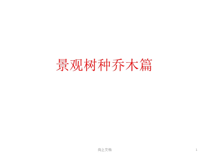 景观树种乔木篇（优选分析）.ppt_第1页