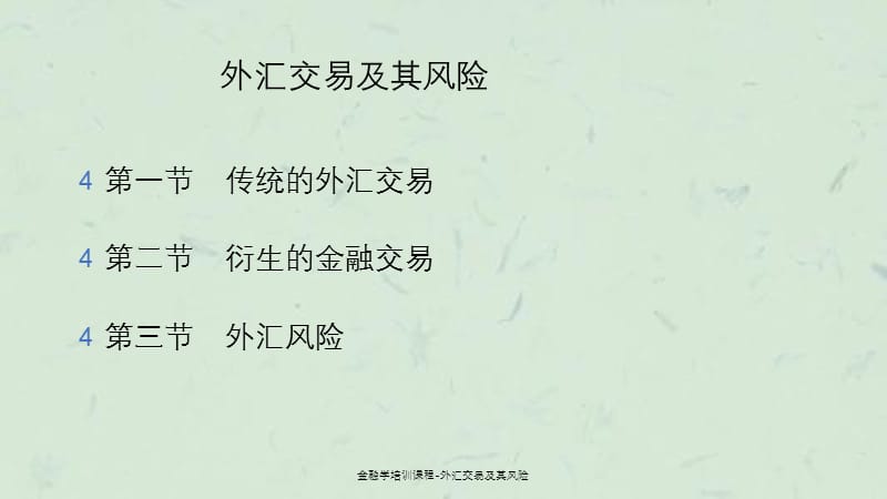 金融学培训课程外汇交易及其风险.ppt_第1页