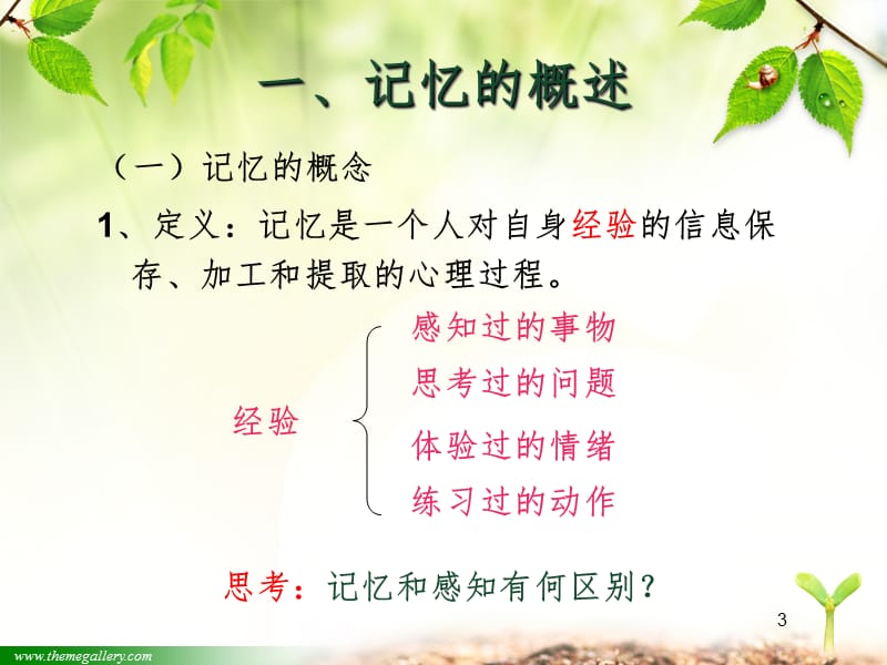 第二章幼儿记忆的发展PPT课件.ppt_第3页