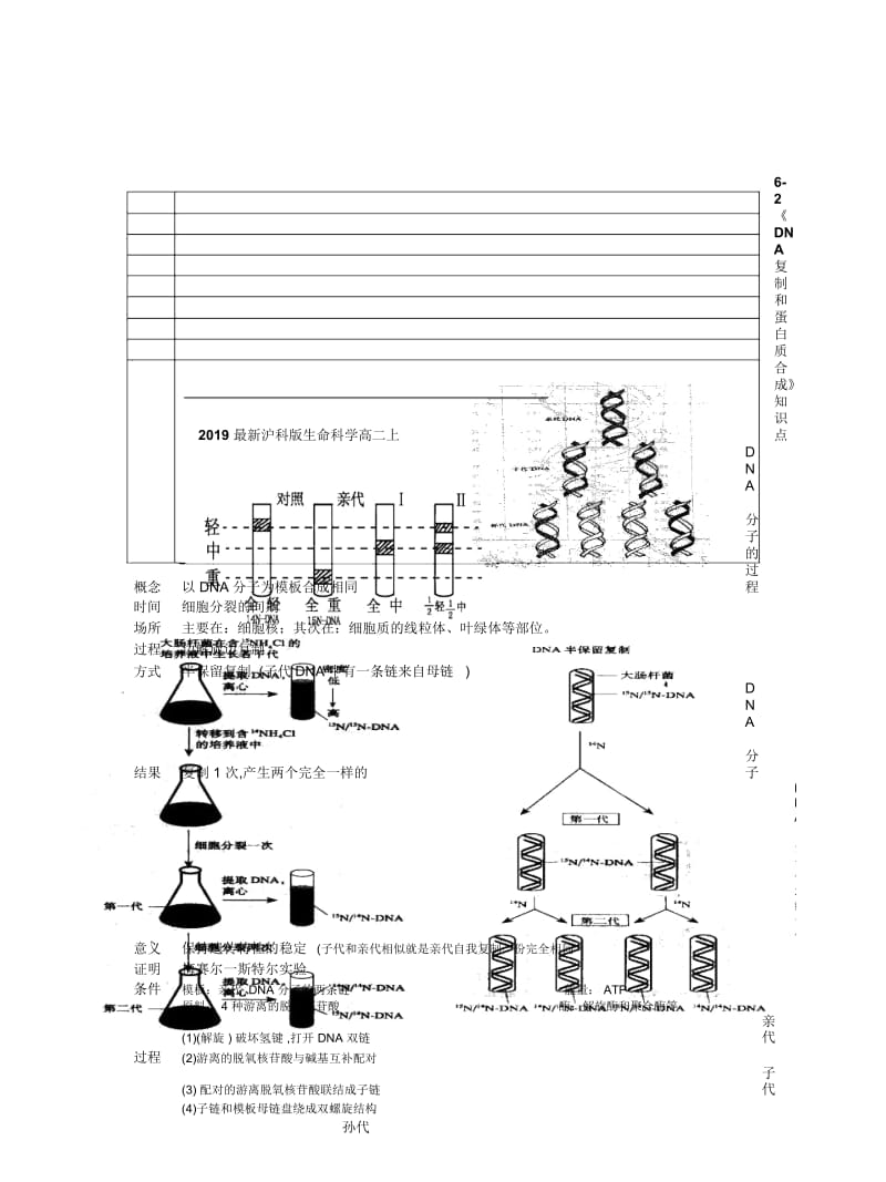 2019最新沪科版生命科学高二上6-2《DNA复制和蛋白质合成》知识点.docx_第1页