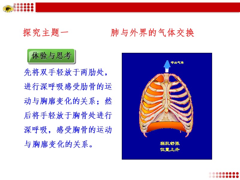 肺内的气体交换PPT课件.ppt_第3页