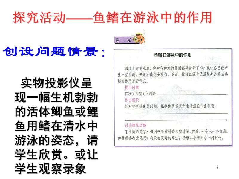 《水中生活的动物》演示幻灯片.ppt_第3页