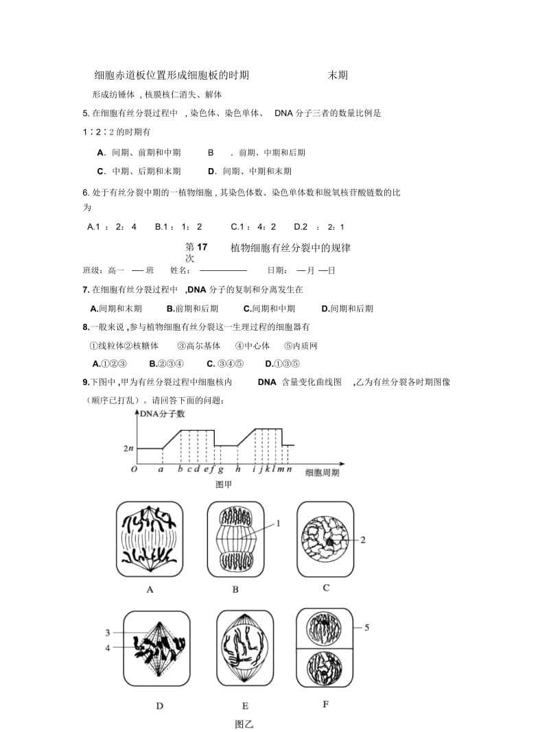 2019最新沪科版生命科学高二上7-2《有丝分裂》作业.docx_第2页