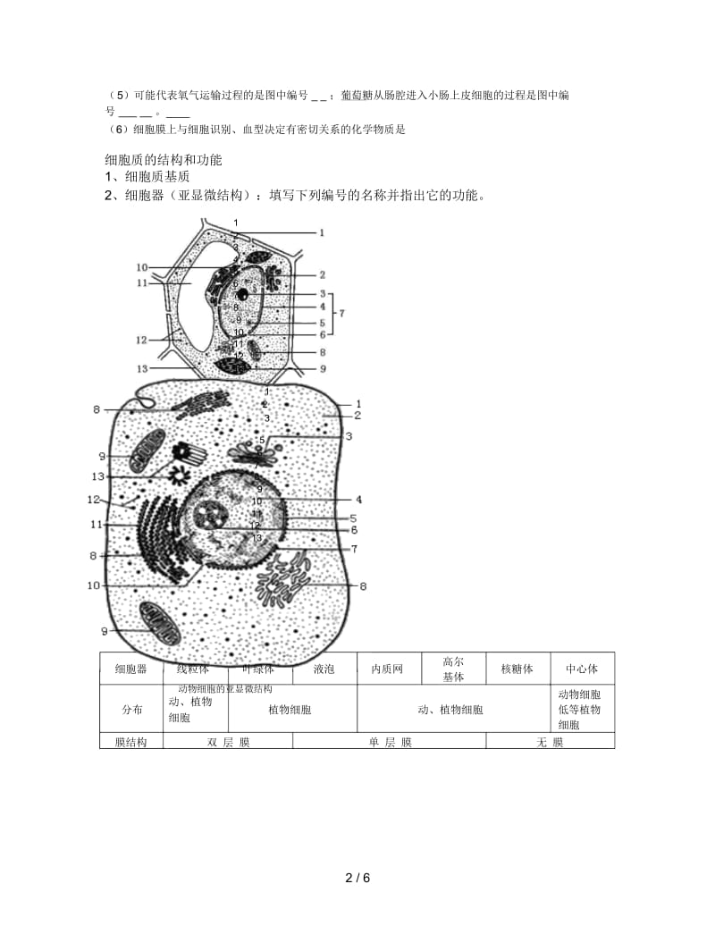 2019最新沪科版生命科学高一上第3章《生命的结构基础》复习讲义.docx_第2页