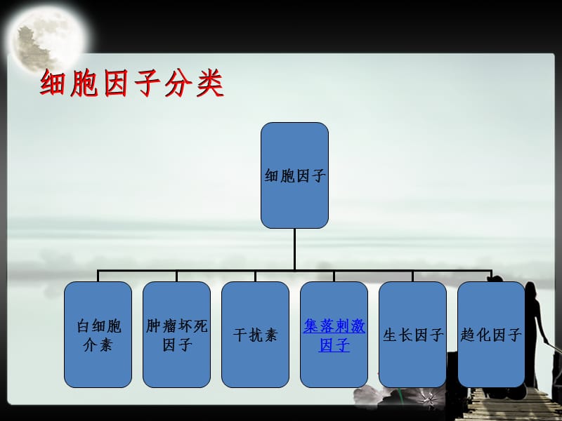 粒细胞集落刺激因子PPT课件.ppt_第3页