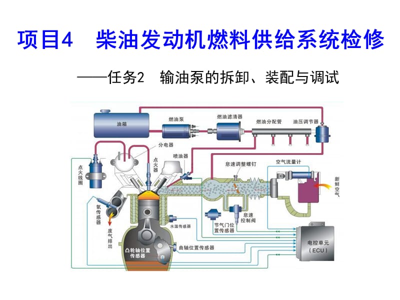 汽车发动机系统检修 输油泵的拆卸、装配与调试.ppt_第1页