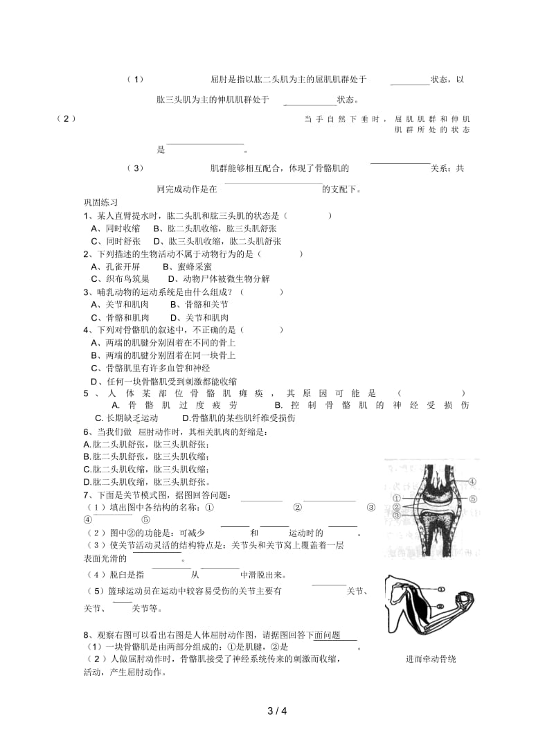 2019最新人教版八上《动物的运动》学案.docx_第3页