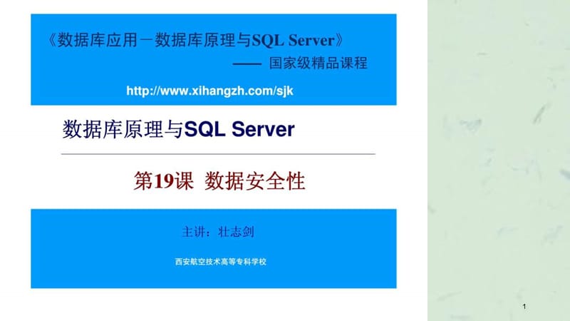 数据库原理与SQLServer第19课数据安全性课件.ppt_第1页