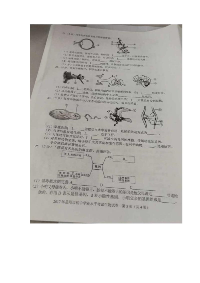 2017湖南岳阳生物中考试卷.docx_第3页