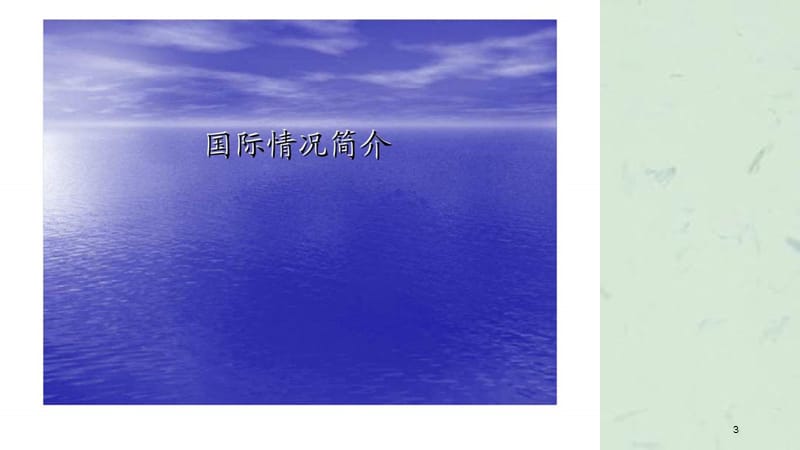 食品安全追溯国内外情况介绍课件.ppt_第3页